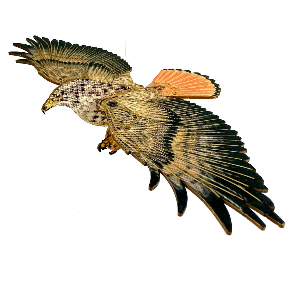 Red Tailed Hawk Mobile